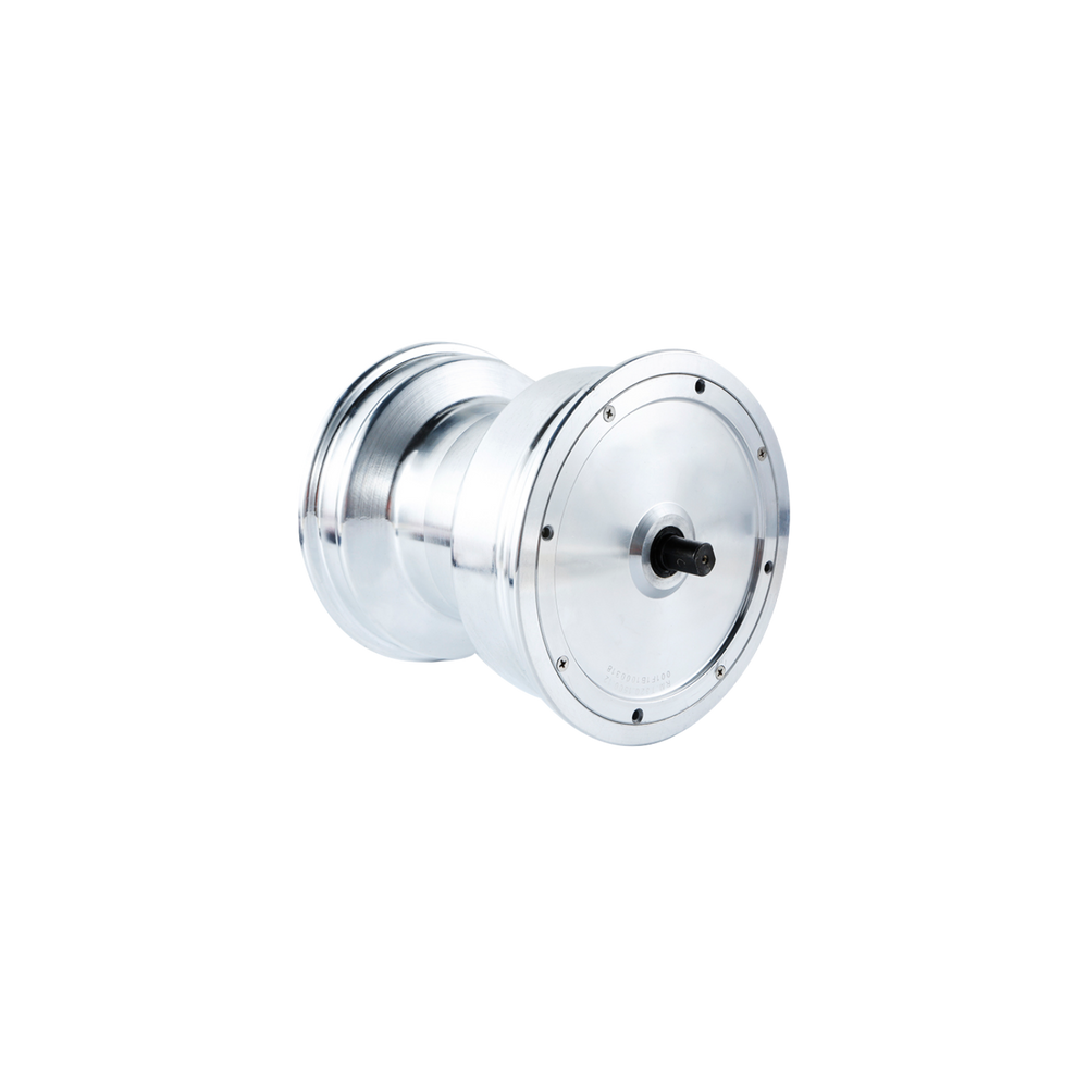 Hub Motor + Tire